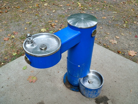 Drinking fountain in public park, with lower bowl for dogs