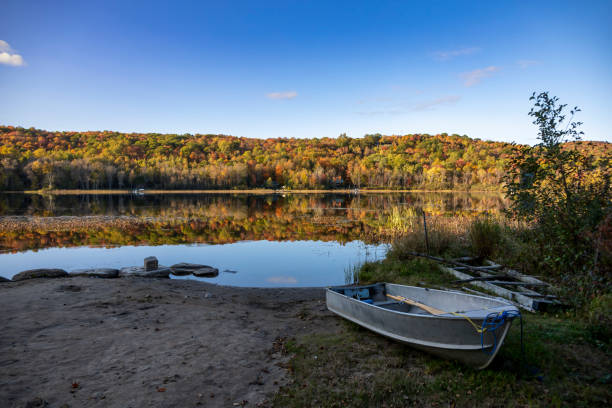 istock Rowboat by a Lake in an Autumn Forest 1719586278