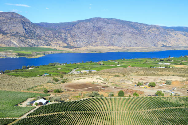 istock Okanagan Valley British Columbia Winery Vineyard Landscape 1719594310