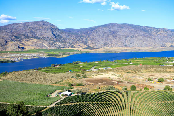 istock Okanagan Valley British Columbia Winery Vineyard Landscape 1719598655