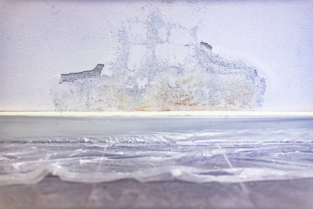 istock Renovation of Dirty and Moldy Wall 1719631925