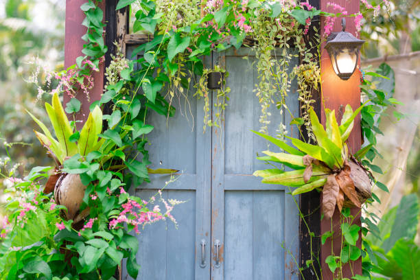 istock The light blue old wooden door is covered with beautiful trees. 1719634601