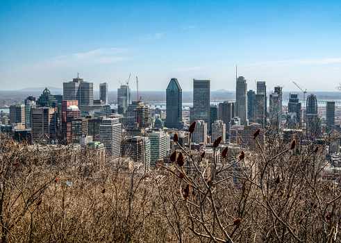 Overlooking the buildings in Montreal Quebec