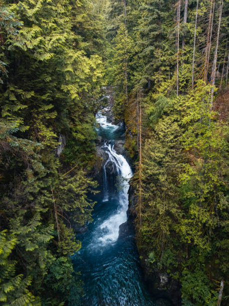 istock Beautiful waterfall in British Columbia 1719636187