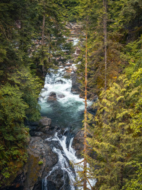 istock Beautiful waterfall in British Columbia 1719636191