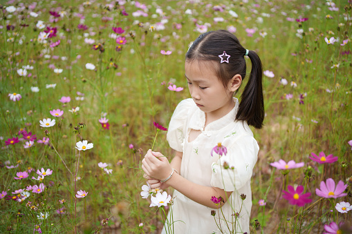 Little girl among flowers in the wild