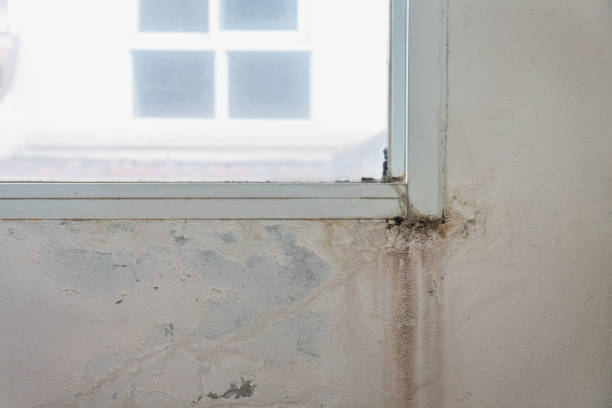 istock Windows leaking at the bottom corner of the frame 1719664217