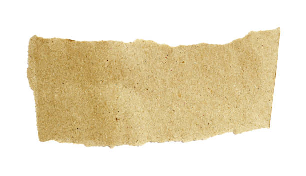 istock a sheet of paper torn to pieces isolated on white background 1719665347