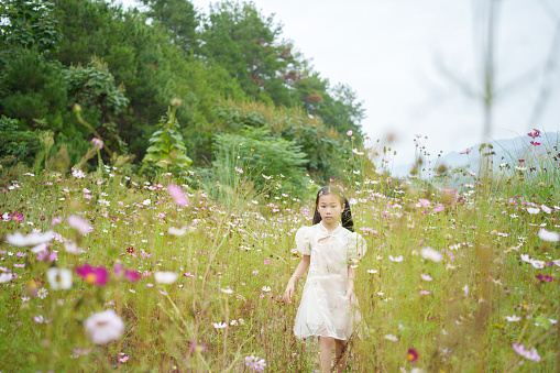 little girl among flowers