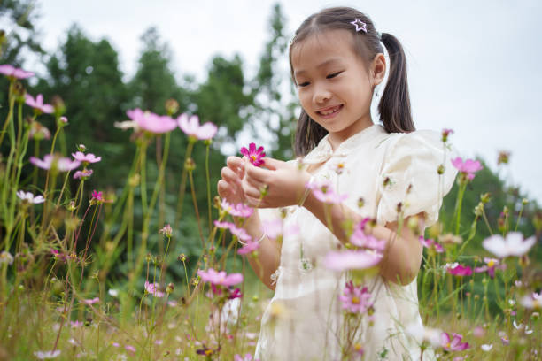 istock Children picking wild flowers 1719667950