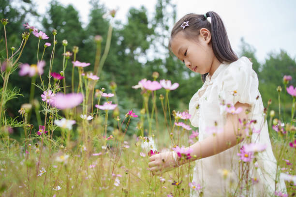 istock Children picking wild flowers 1719669020