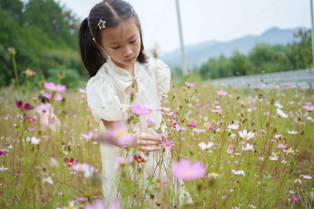 istock Children picking wild flowers 1719670186