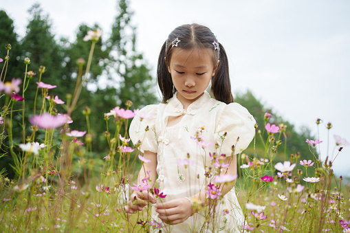 Children picking wild flowers