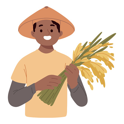 young farmer holding rice harvest