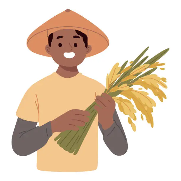 Vector illustration of young farmer holding rice harvest