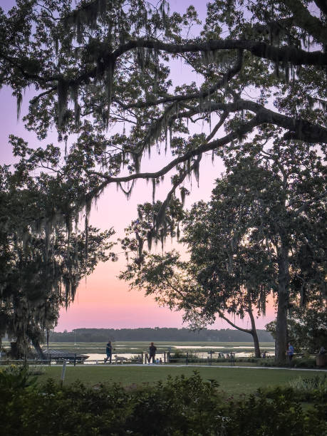 istock Sunset in Wright Family Park, Bluffton, SC 1719687627