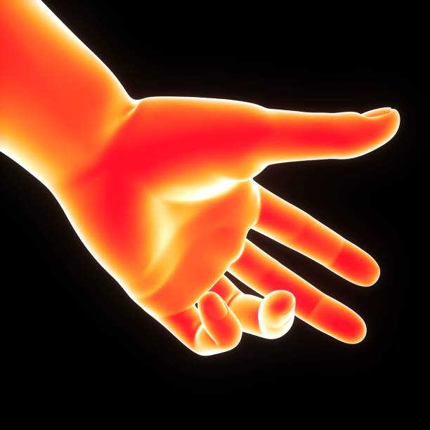 istock Human Body Hand Pose Anatomy 1719706603