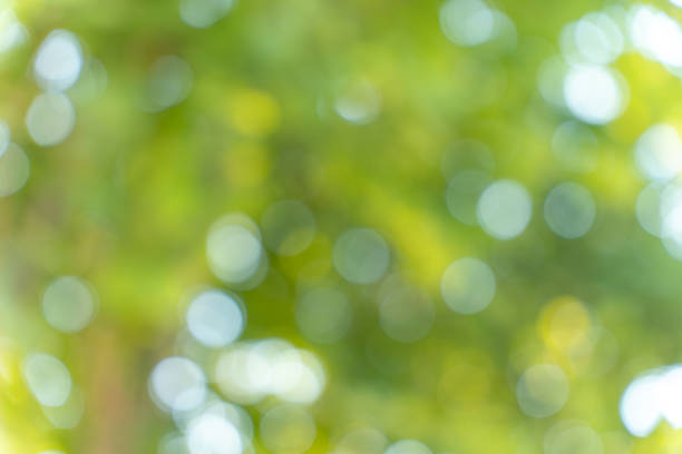 istock Abstract green bokeh ligth form nature background 1719707661