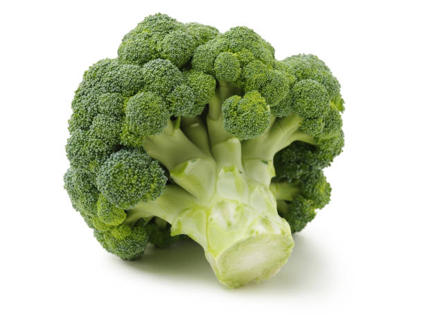 Broccoli Broccoli vegetable on white background brokoli stock pictures, royalty-free photos & images