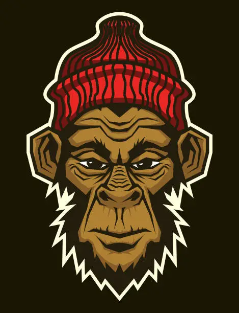 Vector illustration of Gorilla head in red knitted hat. Ape, monkey head character mascot