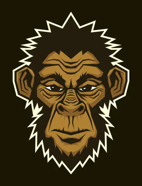 Vector illustration of Monkey head. Gorilla, ape, monkey head character mascot