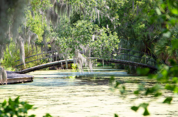 istock Bridge cross river in city park New Orleans 1719831111
