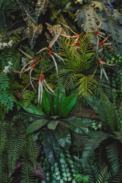 istock abstract green leaf texture, tropical leaf foliage nature dark green background 1719831173