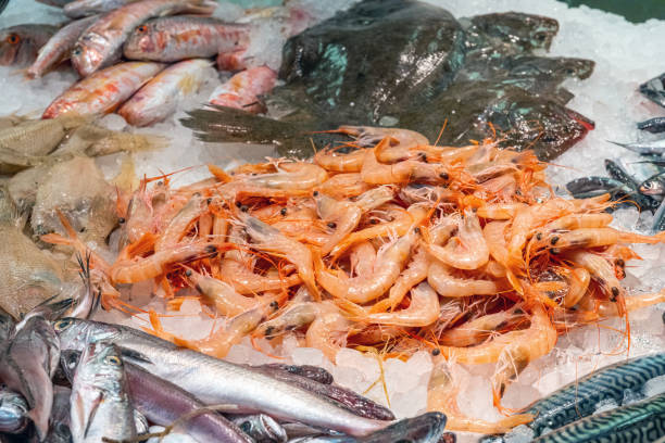 istock Shrimps and fish for sale 1719855538