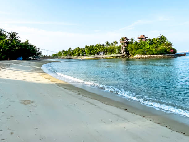 istock White sandy beach with waves crashing on the shore. 1719877358