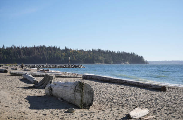 istock Ambleside Beach at Ambleside Park in West Vancouver 1719885687