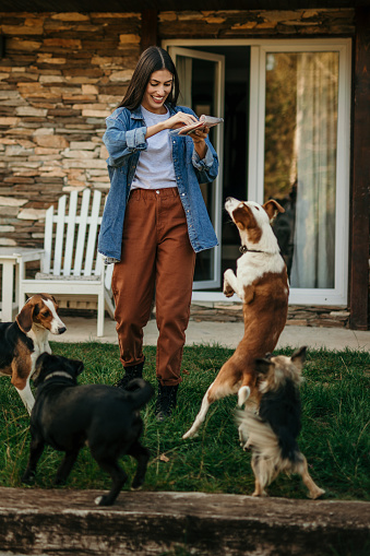 In the serene backyard, a woman bonds with her adopted dogs through games and affection