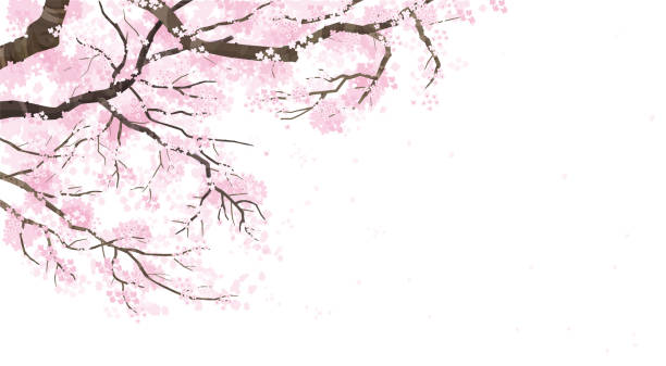вишневое дерево фоновая иллюстрация - вишня дерево stock illustrations