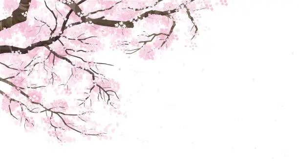 Vector illustration of cherry tree background illustration
