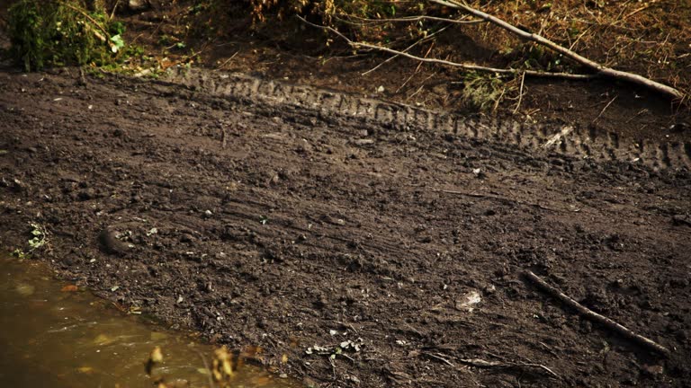 Muddy tire tracks cut across logging clear cut hillside as stream flows below in slow motion