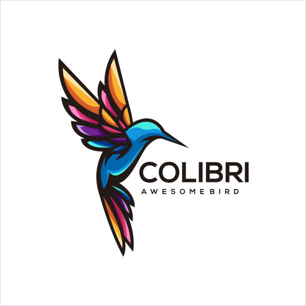 ilustraciones, imágenes clip art, dibujos animados e iconos de stock de colibrí pájaro colorido ilustración diseño de logotipo - canturrear