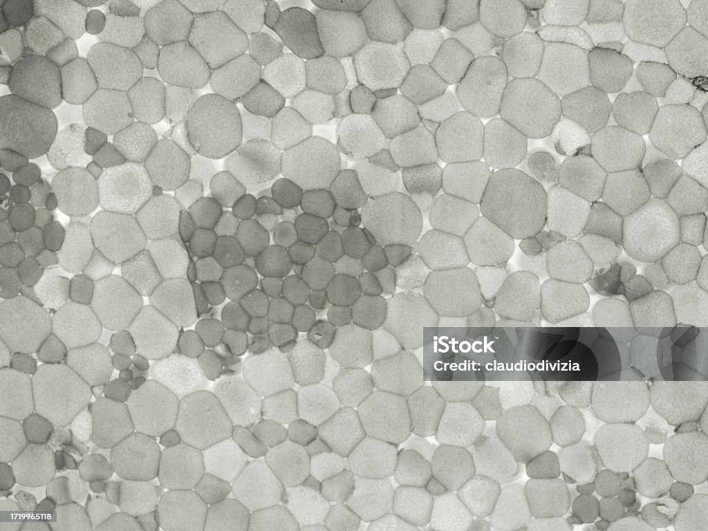 Expanded Polystyrene Plastic Example Expanded Polystyrene Plastic Texture Background Stock Photo - Download ...