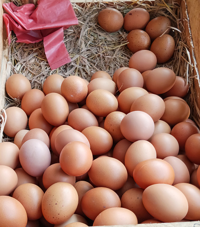 Piles of chicken eggs in a basket, taken at close range
