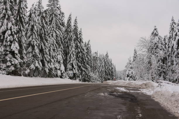 istock Winter impressions from the Black Forest High Road 1720005565