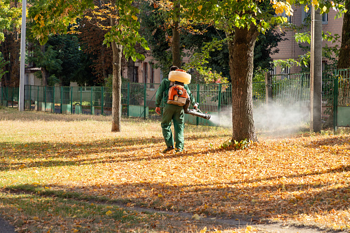 Worker sprays territory with insecticide for mosquitoes or pests or herbicides for weeds with motorized sprayer.