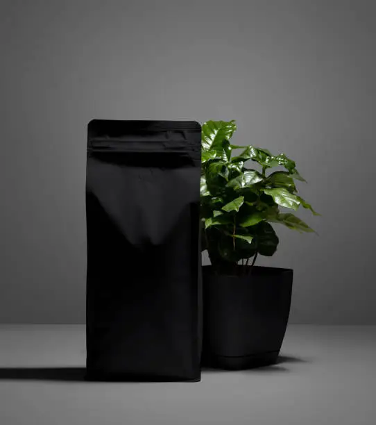 Template of black matte pouch with valve, green Arabica tree in a pot, zip package of coffee with shadows on the background. Product photography for advertising. Mockup doy pack for design, branding.