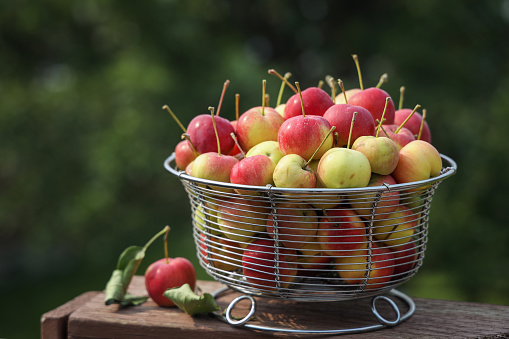 Crab apples in a wire frame bowl.