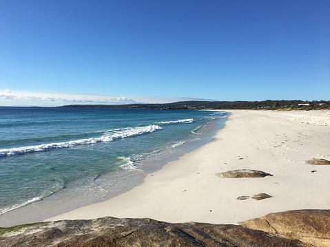 Landscape view of a colony of black and white penguins walking out of water. Beach with smooth boulders, white sand, blue water, green bushes and trees.