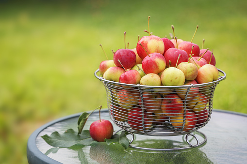 Crab apples in a wire frame bowl.