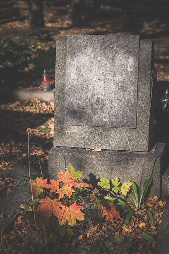 uncared grave covered by autumnal leaves and growing plants