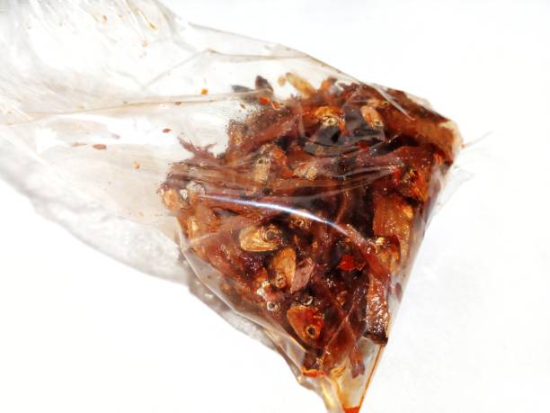 istock Cook anchovies in plastic wrap 1720103112