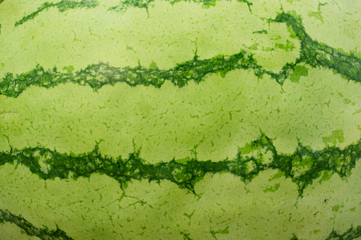 Close up Watermelon texture for nature background.