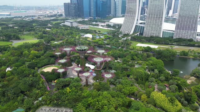 Drone shot of Gardens by the Bay park in Singapore