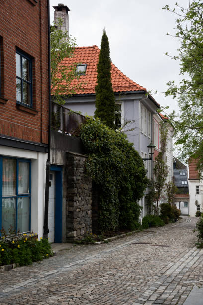 istock cobbled street in the old town 1720143540
