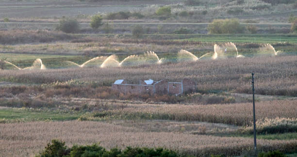 Fields Machine Oct 80+ Oct Machine Stock Photos, Pictures & Royalty-Free Images - iStock