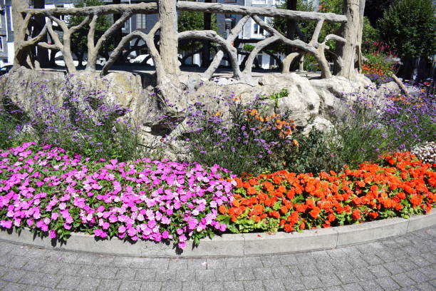 istock colorful flowers on a traffic circle 1720152409
